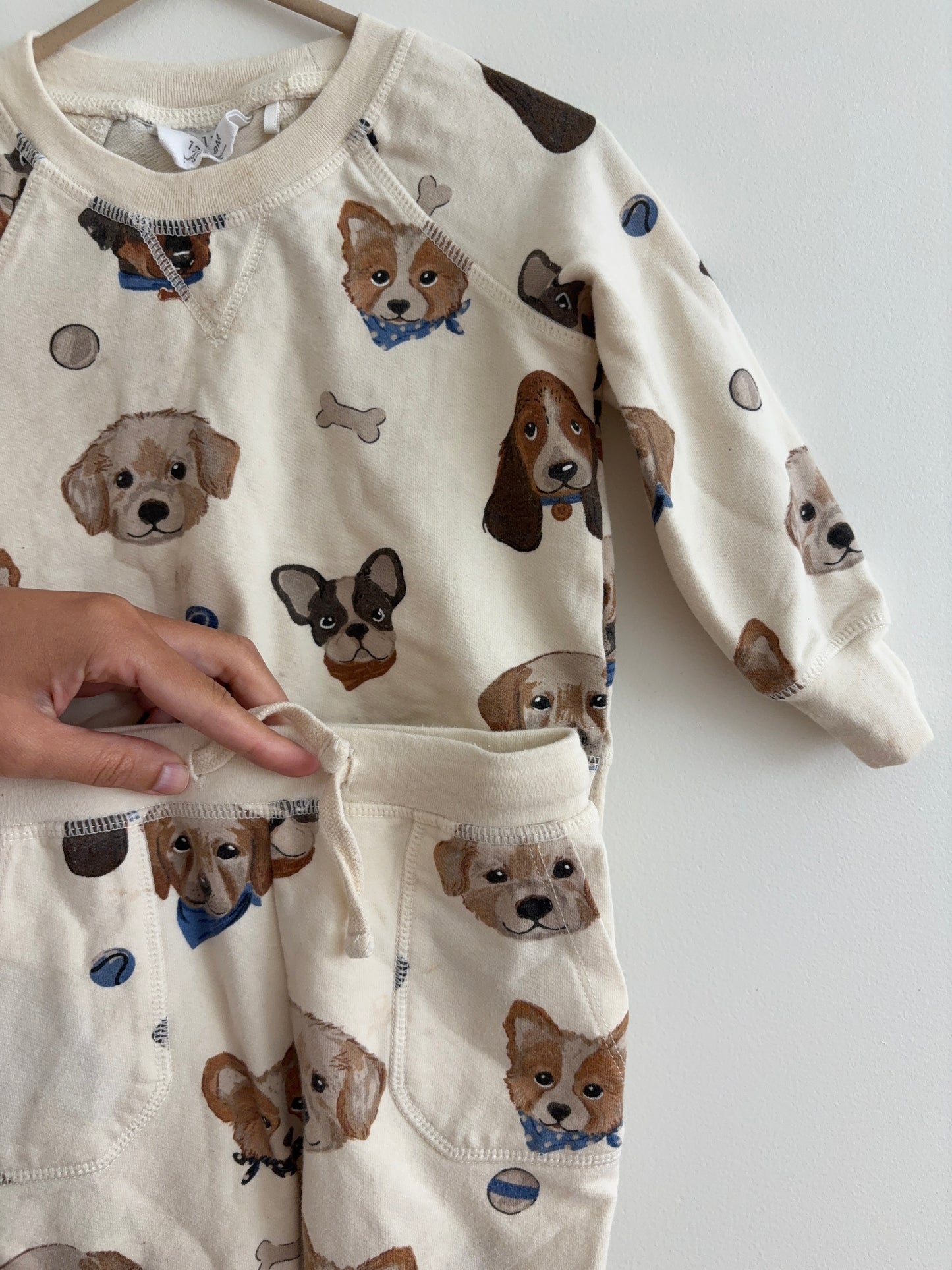 Top + Pants Set | Beige Doggy Print | 12-18M